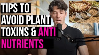 Digestive Issues Solved by Avoiding Plant AntiNutrients Oxalates Lectins Saponins amp More [upl. by Merriam]