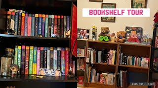 Bookshelf tour [upl. by Wemolohtrab]