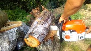 PILARKA spalinowa STIHL MS391 [upl. by Latimer]