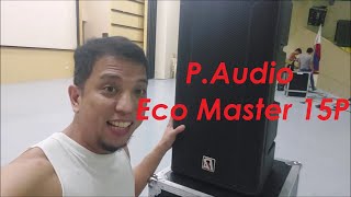 P Audio ECO master 915P  quick look [upl. by Lionel]