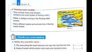 Grade5 Lesson 4 Concept 11 P3 quot Types of Aquatic Ecosystemquot شرح الدرس الرابع سنة خامسة الترم الثانى [upl. by Delaine569]