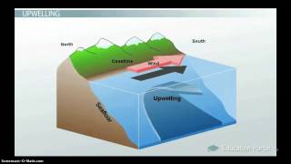 Ocean Circulation Patterns amp Effect on Climate [upl. by Savanna537]