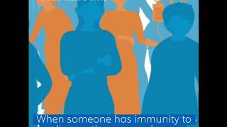 What is herd immunity [upl. by Hiasi134]