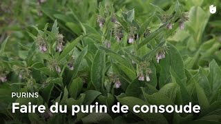 Faire du purin de consoude [upl. by Grunenwald]