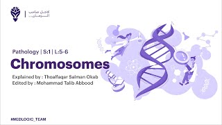 CHROMOSOMES ll pathology [upl. by Sitarski]