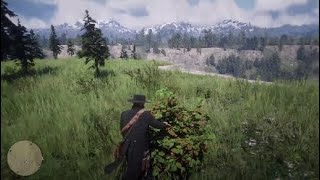 Herborista 2  Frutas Silvestres  Red Dead Redemption 2 [upl. by Wiedmann631]