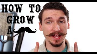 How To Grow and Style a Handlebar Mustache  A Tutorial  Matt Tastic [upl. by Okubo795]