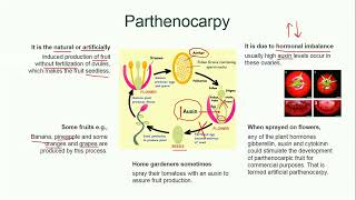 Parthenocarpy  Plant Reproduction  Biology [upl. by Leonor]