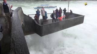 Rheinfall bei Hochwasser [upl. by Aihsram59]