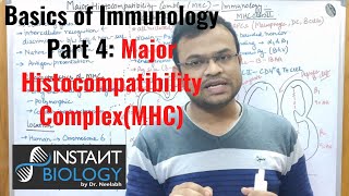 Basics of Immunology Part 4 Major Histocompatibility Complex MHC [upl. by Patricio953]