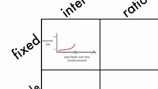 Learning Schedules of Reinforcement [upl. by Ecyle416]