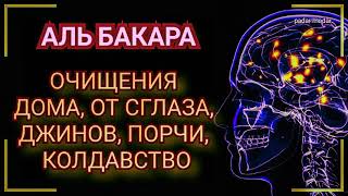 Аль Бакара очищения домов от джинов шайтана порчи и сглаза и черной магии  Surah AlBaqarah [upl. by Koetke]