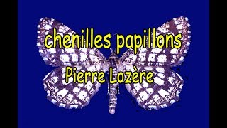 Chenilles papillons de Pierre Lozère [upl. by Eleahcim]