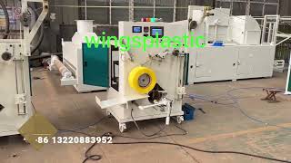 Fully Automatic Winder PP Strap Extrusion Machine [upl. by Aube]