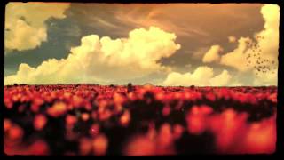 Luminaire  Flower Duet Jonathon Peters Mix Music Video HD [upl. by Lirrehs]