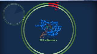 Genetica 01  Fisiologia del genoma umano [upl. by Lady]