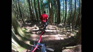 Woodlot Mountain Bike Lower Toadstool [upl. by Eiba258]