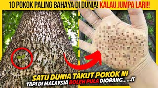 10 POKOK PALING BAHAYA DI DUNIA KORANG KENA LARI KALAU JUMPA [upl. by Karlens502]