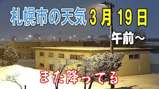 今の札幌 3月19日 午前～ ☃️雪のち晴 「大雪・なだれ・着雪」注意報 札幌ライブカメラ live [upl. by Ronal]