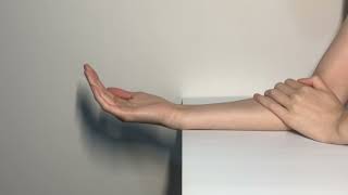 Wrist Flexion  Extension Supinated [upl. by Enrol]