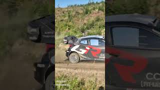 GOOOO Elfyn EVANS  Test WRC Rally Finland 2024 [upl. by Nilpik]