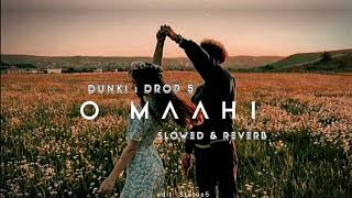 Dunki Drop 5  0 Maahi Song  Arjit Shing songSlowedReward Sharukh Khan [upl. by Lynnett6]