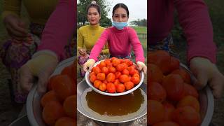 How to cook tomato sauce recipe shortvideo shorts cooking food recipe [upl. by Teews]