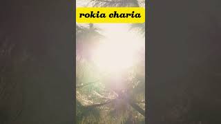 rokia charia adkar dua islam allah islamic peace quran hijab [upl. by Araet]