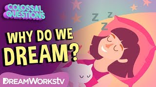 Why Do We Dream  COLOSSAL QUESTIONS [upl. by Zacks]