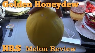 Golden Honeydew Melon  Cucumis melo  melon review [upl. by Rafaelita]