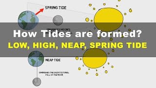 How Tides are Formed  Low High Neap Spring Tide  Geography UPSC IAS [upl. by Asenaj]