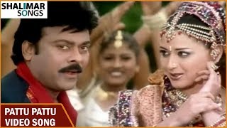 Shankar Dada MBBS  Pattu Pattu Video Song  Chiranjeevi  Sonali Bendre  Devi Sri Prasad [upl. by Rossing]