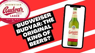 BUDWEISER BUDVAR  Czech Lager Beer Review beer beerreview beerlovers czech supermarket [upl. by Eicrad]