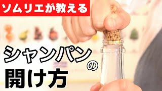 【コスパ最強】まるで超高級ワイン⁉️ソムリエが感動したとんでもなく美味しい5千円のワインを5本紹介 [upl. by Ulita]