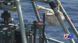 Endeavor Mission The Styrofoam Cup Experiment [upl. by Karney779]