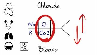 What is BMP CBC Chem 7 Chemistry 7 Nurse Labs Nursing student [upl. by Nyvlem]