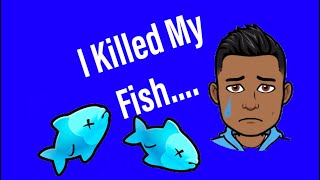 Dead Fish Dont Make This Mistake When Cleaning Your Aquarium [upl. by Ekul]