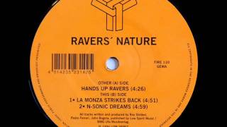 Ravers Nature  Hands Up Ravers Rave Classic 1994 [upl. by Yedrahs]