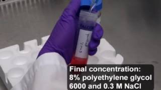 Designing Packaging amp Delivery of High Titer CRISPR Retro amp Lentiviruses via Stereotaxic Injection [upl. by Kathy526]