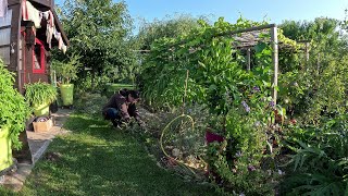 Je prépare le potager dhiver  Vlog 18 [upl. by Atikat]