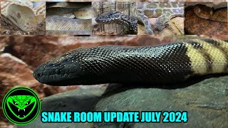 REPTILE ROOM UPDATE JULY 2024 Pt 22 [upl. by Novhaj]