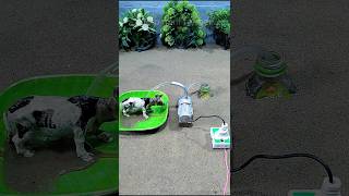 mini pump project  Mini water motor  mini motor project cow video  259 [upl. by Henriha]