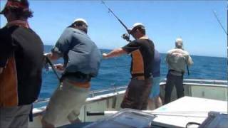 Jiggy Jiggy II  Extreme Montebello Jigging Mayhem Fishing for Coral Trout Cod and Emperor [upl. by Harpp698]