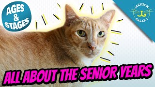 The Senior Cat Years  Cat Ages and Stages [upl. by Yelhak]