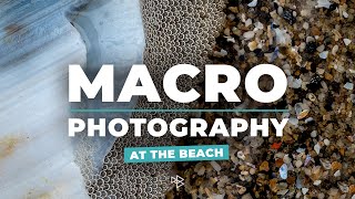 Beach Macro Photography [upl. by Ahsie355]