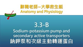 🛶大學救生艇🛶 33 B Sodium potassium pump and secondary active transporters 鈉鉀泵和次級主動轉運蛋白 [upl. by Nnaed]