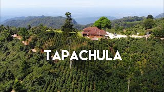 Tapachula Tuxtla Chico y la Ruta del Café en Chiapas  La puerta al Soconusco [upl. by Rafiq]