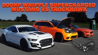 800 HP SUPERCHARGED MUSTANG VS TRACKHAWK [upl. by Avram52]