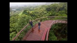 Worlds First Botanical Garden Kirstenbosch National Botanical Garden Cape Town South Africa [upl. by Demp]