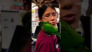 📍Kellyville Pets Sydney australia ytshortvideo [upl. by Rubio]